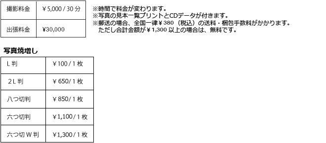 スナップ写真料金